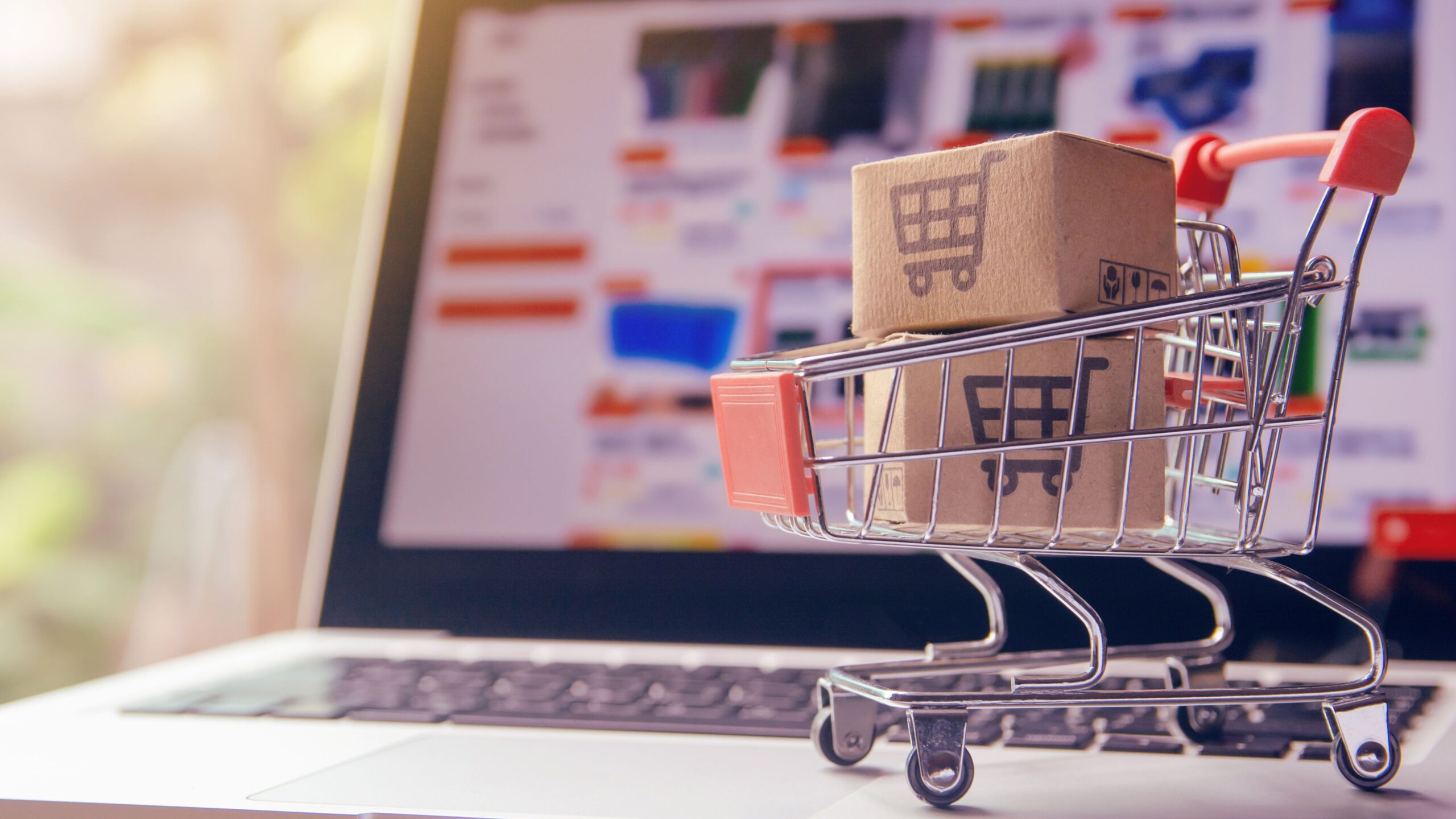 E-commerce Web Development Services San Diego