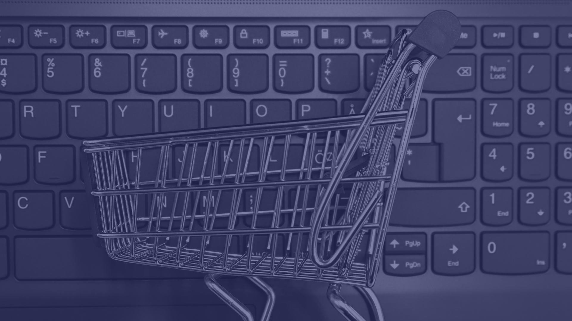 What Actually Makes Ecommerce SEO Work?