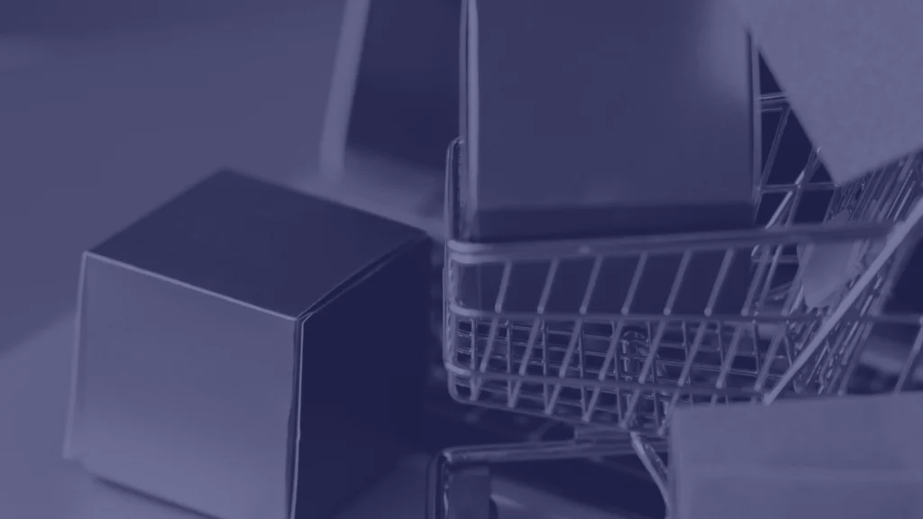 SHOPIFY SEO SERVICES