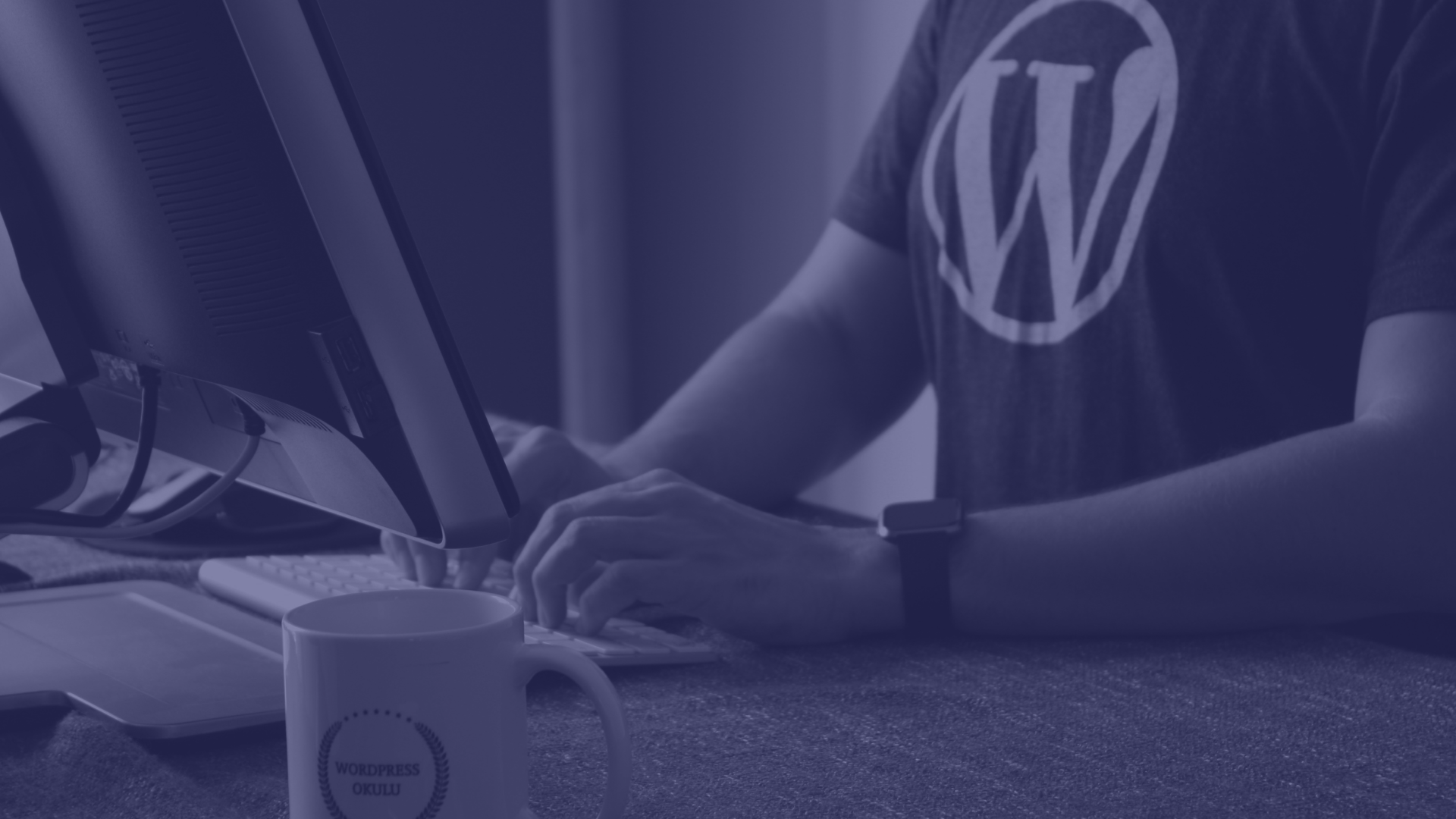 WORDPRESS WEB DESIGN SAN DIEGO